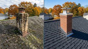 roofing care